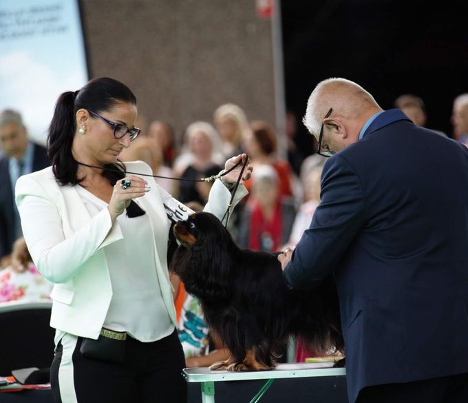 At World dog show in Amsterdam 2018