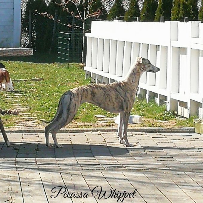 Kiza 15 mths