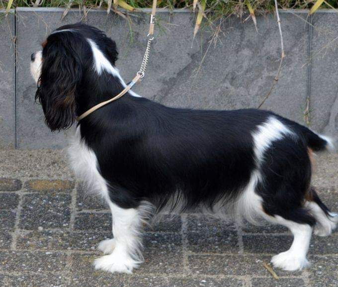 1 year old