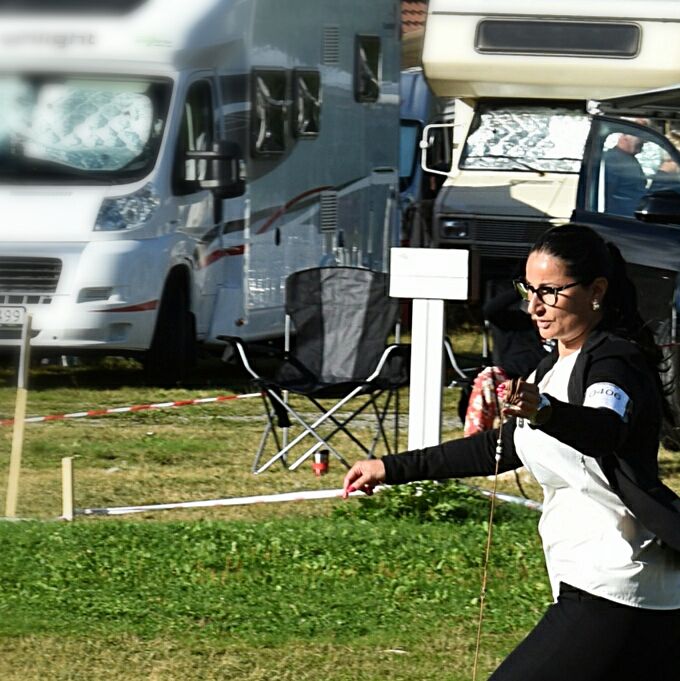 15 mthd winning BIS 2