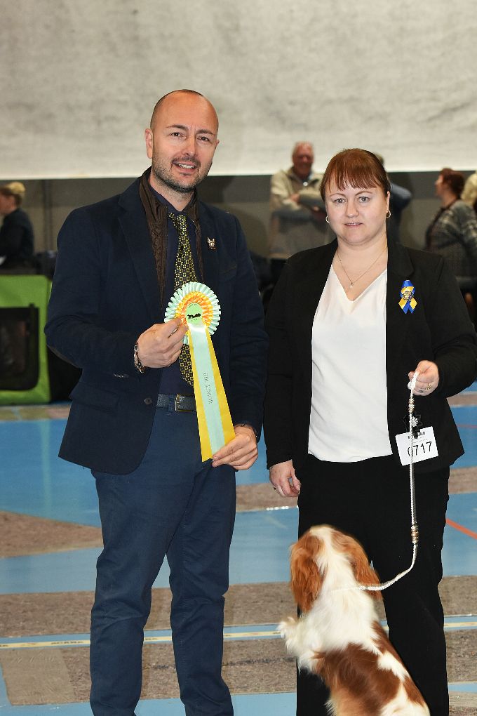10 mths. BOB junior. Handler Katrine Jonasson Rønbeck 